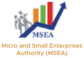 Micro and Small Enterprises Authority (MSEA)
